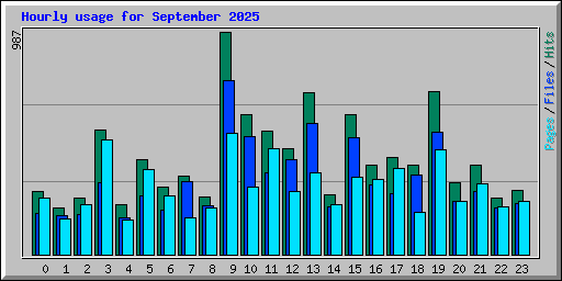 Hourly usage for September 2025