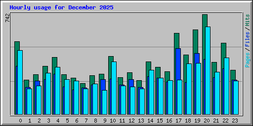 Hourly usage for December 2025