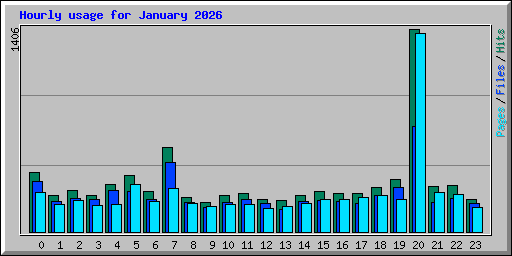 Hourly usage for January 2026