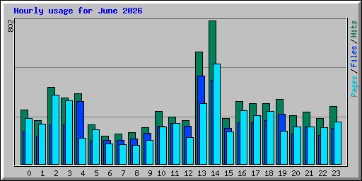 Hourly usage for June 2026